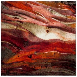 Calabasas Abstract Loomed Area Rug - Safavieh 23 Calabasas Abstract Loomed Area Rug - Safavieh -Safavieh GUEST 51b69280 2dda 4fb6 b4f0 fe4b4c5cde9c